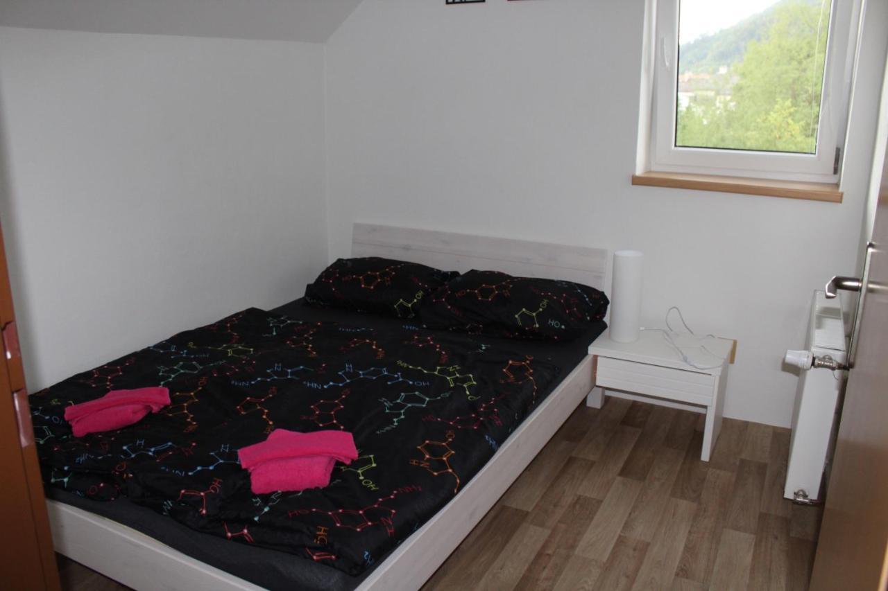 Apartman Rapotin, Jesenicka 296, 3Km Od Termalniho Parku Velke Losiny Eksteriør bilde